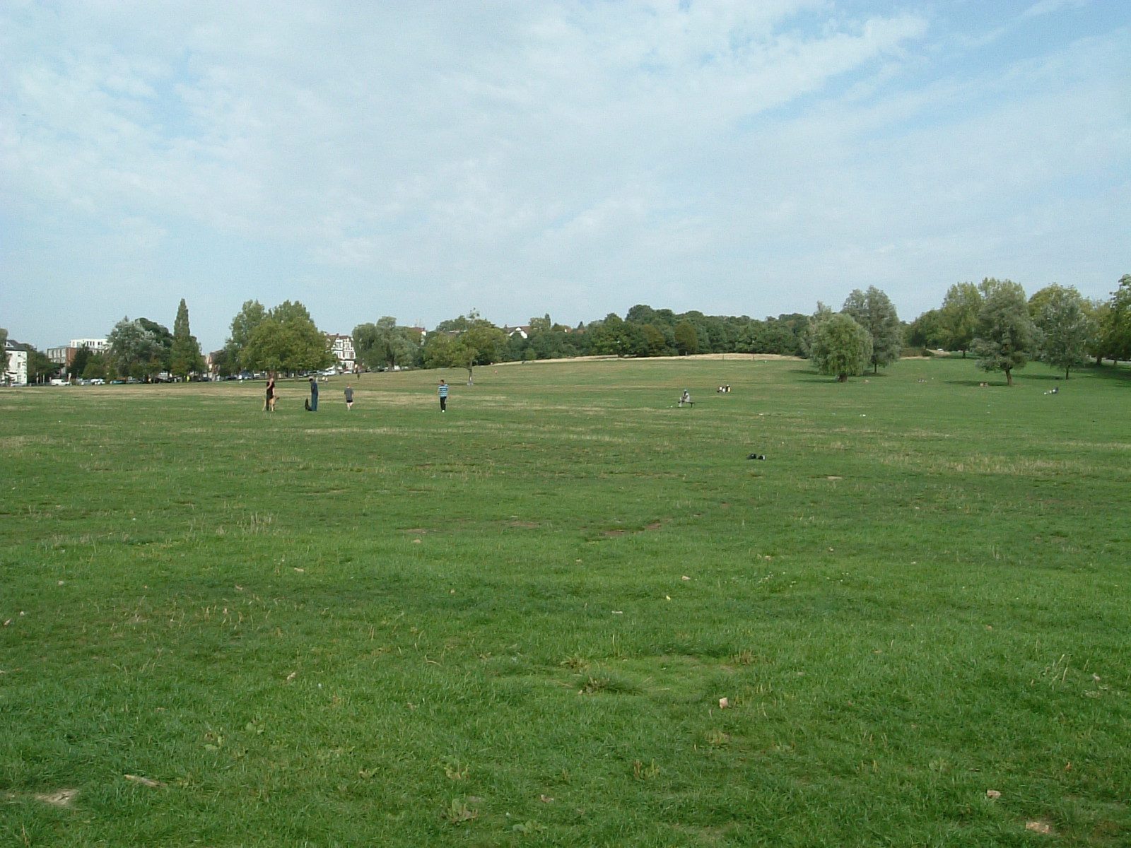 Streatham Common