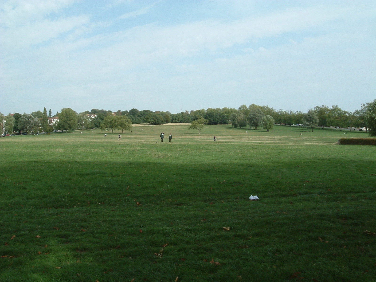 Streatham Common
