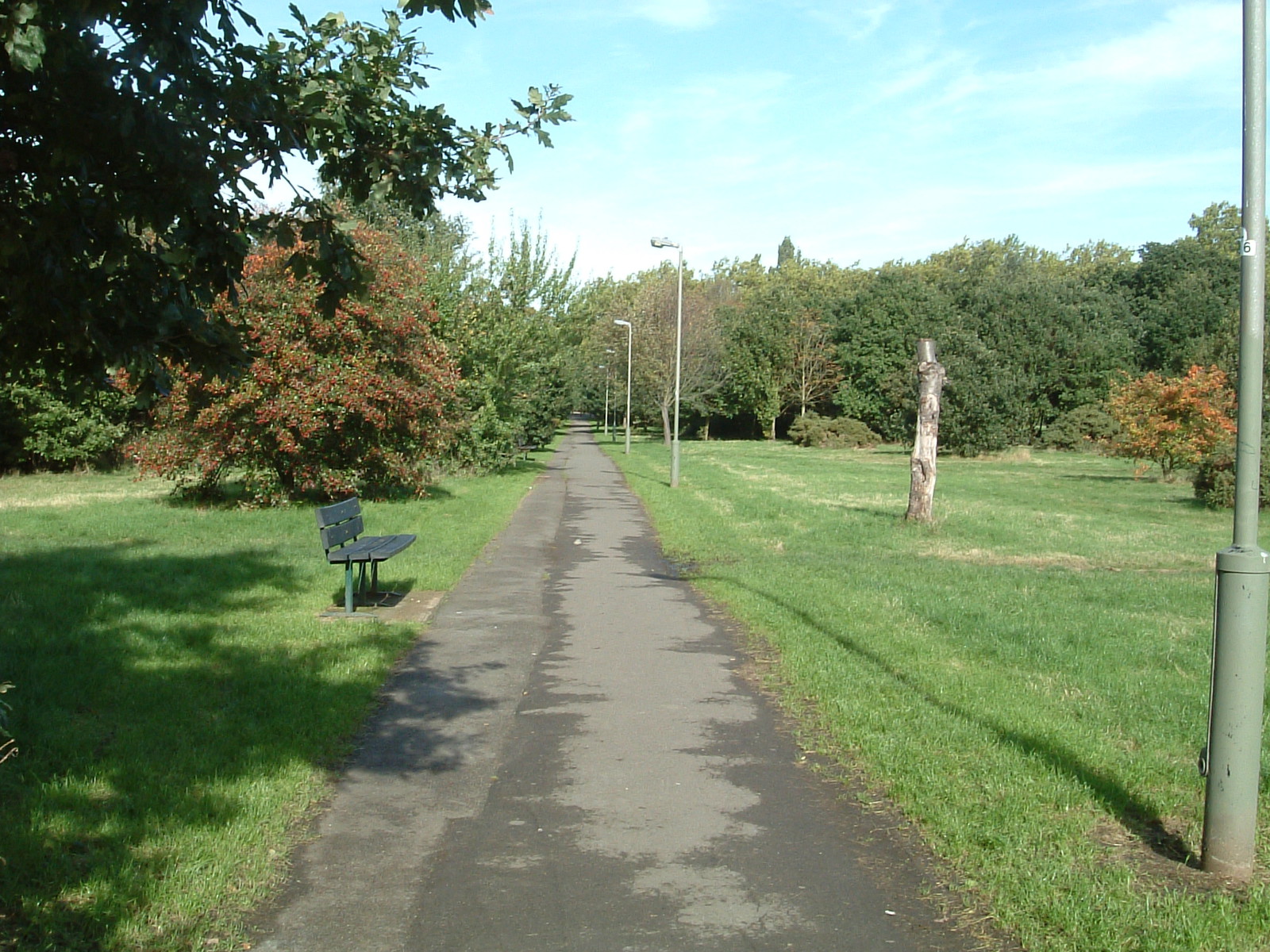 Tooting Bec Common