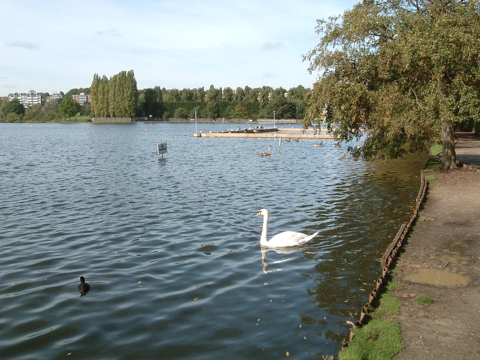 Wimbledon Park Lake