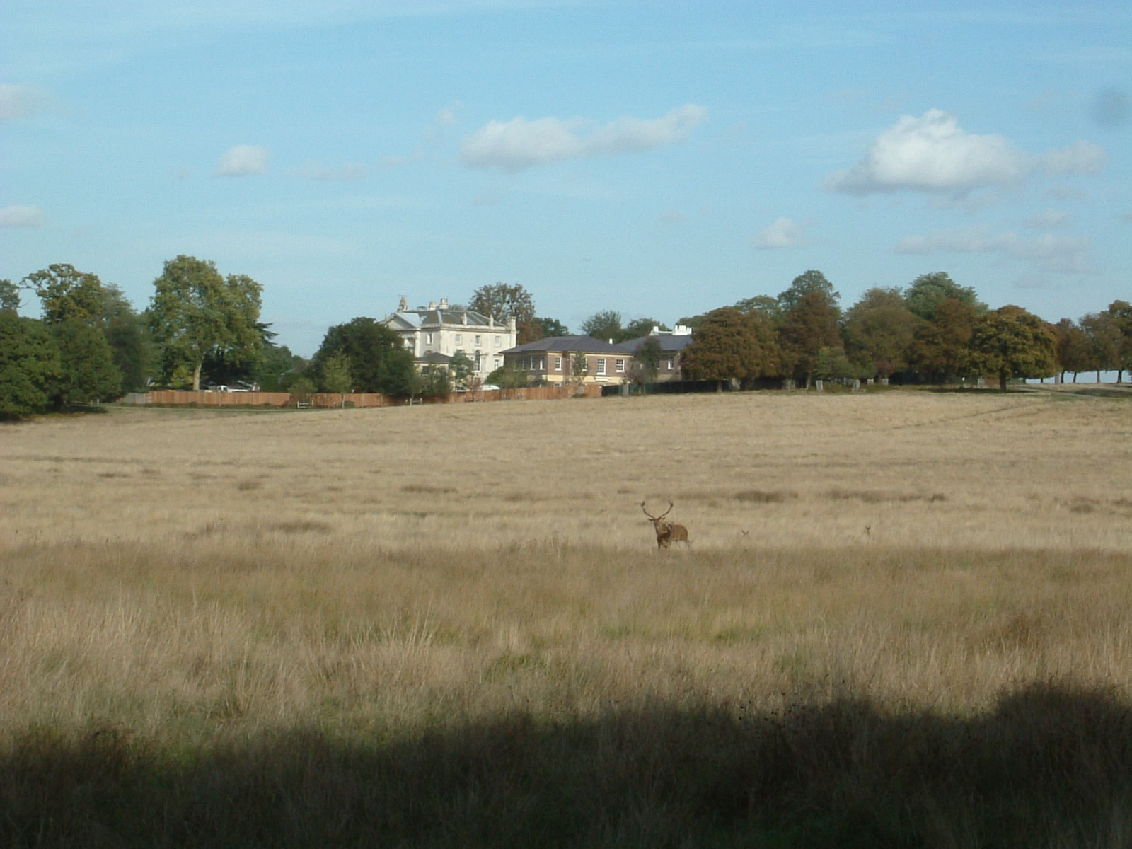 White Lodge, Richmond Park
