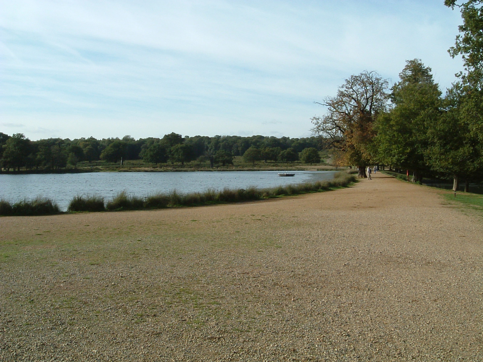 Pen Ponds, Richmond Park