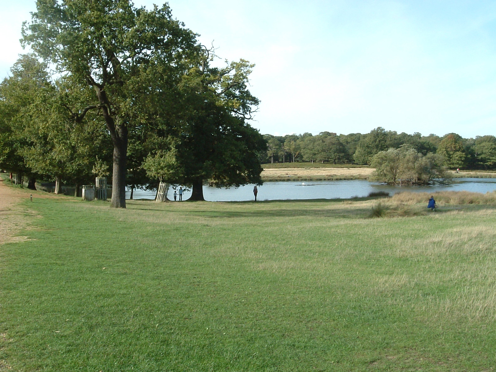 Pen Ponds, Richmond Park