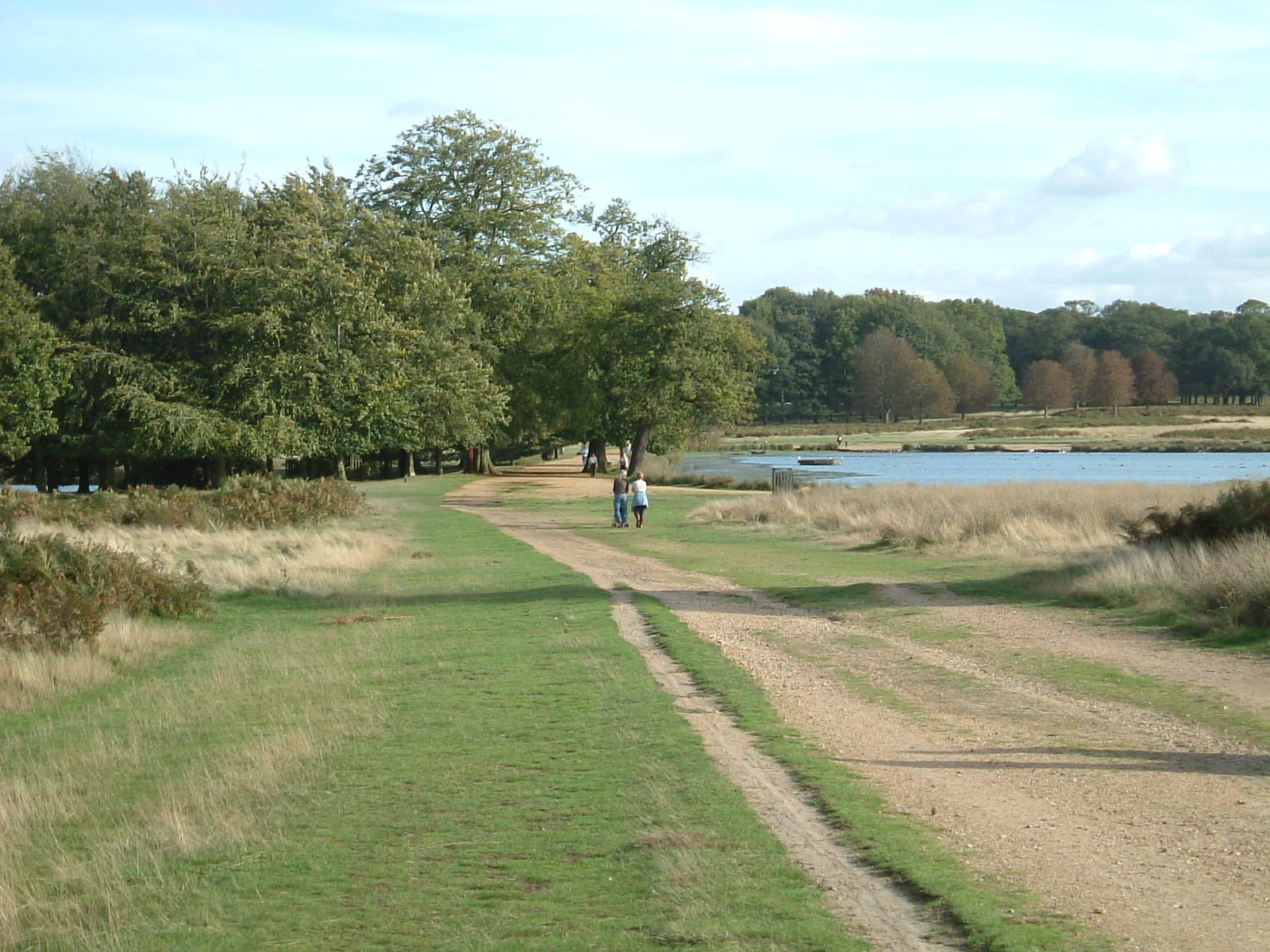 Pen Ponds, Richmond Park