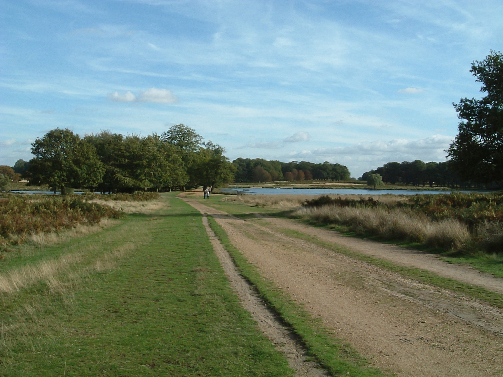 Pen Ponds, Richmond Park
