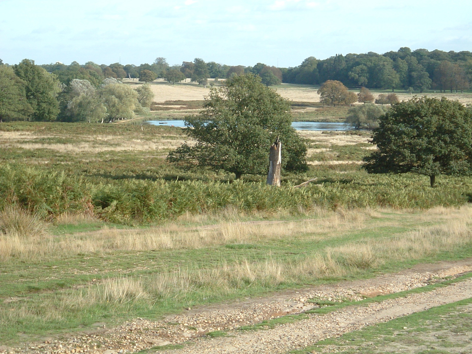 Pen Ponds, Richmond Park