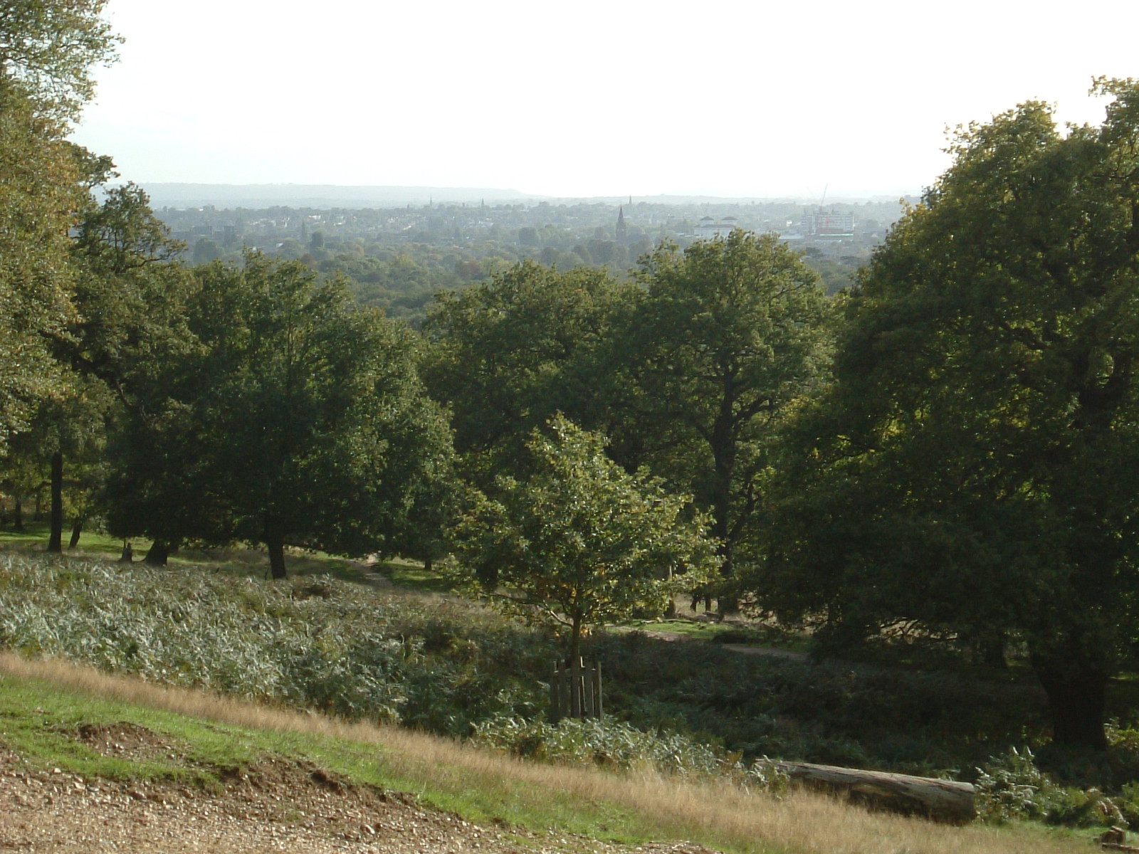 The view west over Petersham Park