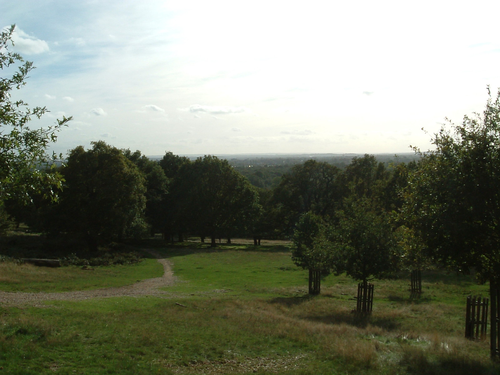 The view west over Petersham Park