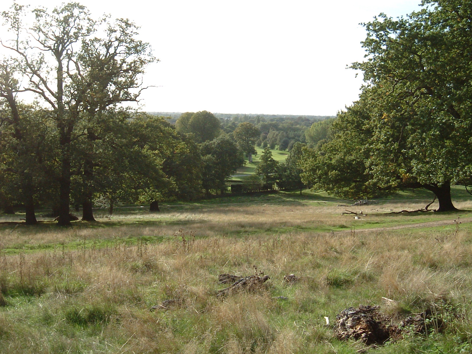 The view west over Petersham Park