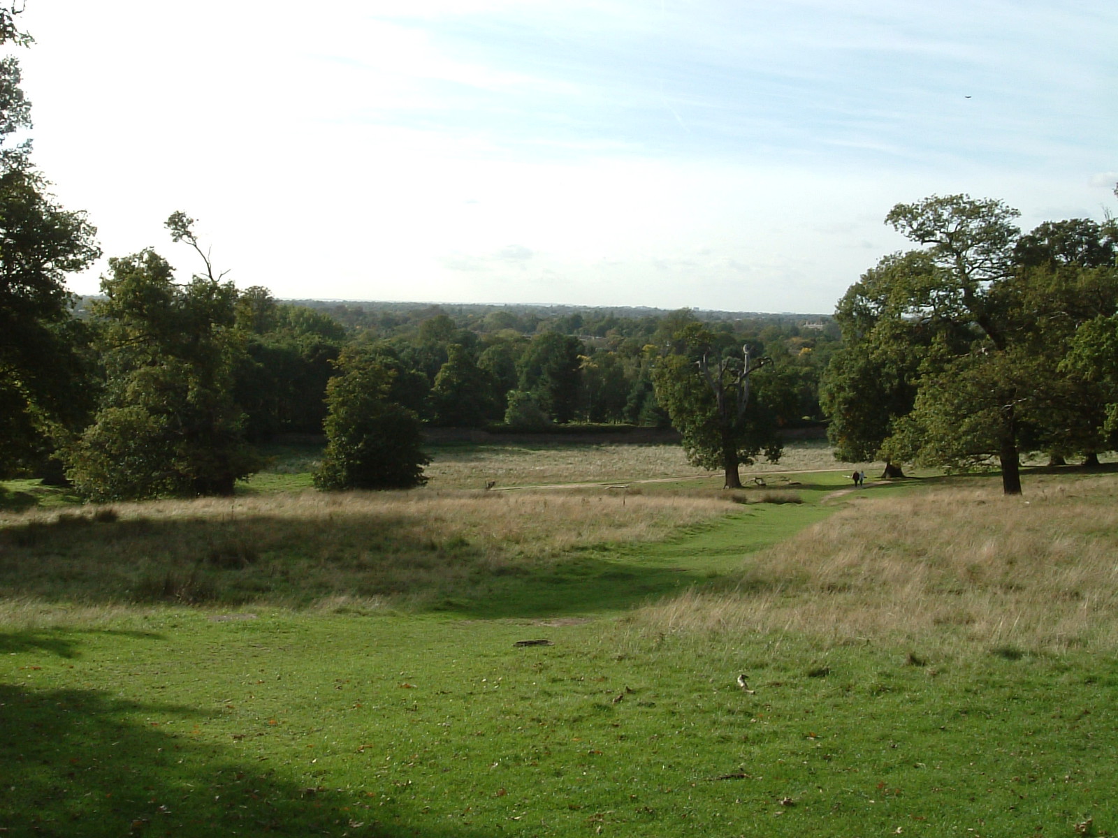 The view west over Petersham Park