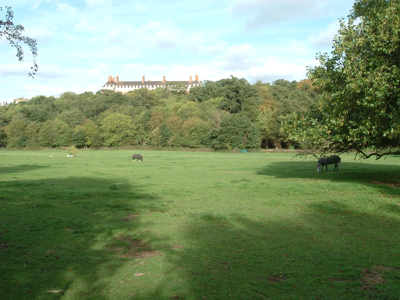 The view towards the Star and Garter Home from the Capital Ring at Petersham Meadow