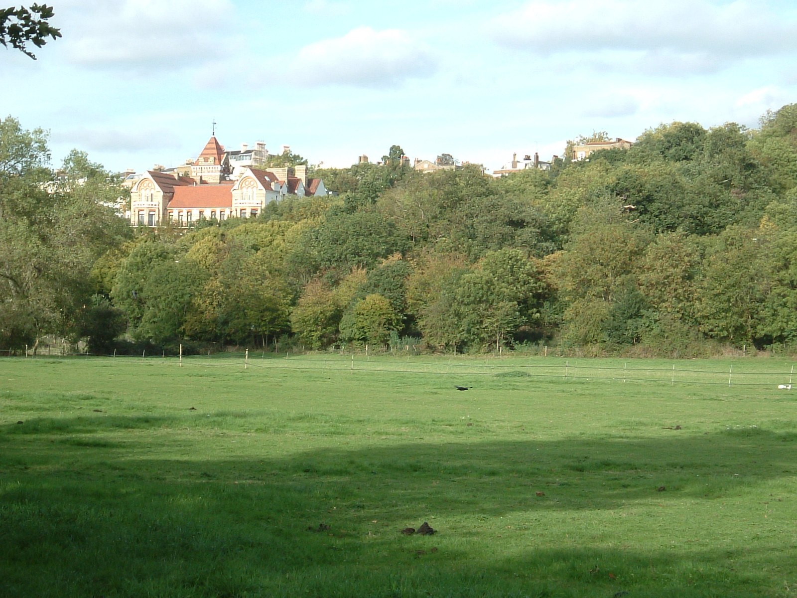 The view towards the Star and Garter Home from the Capital Ring at Petersham Meadow