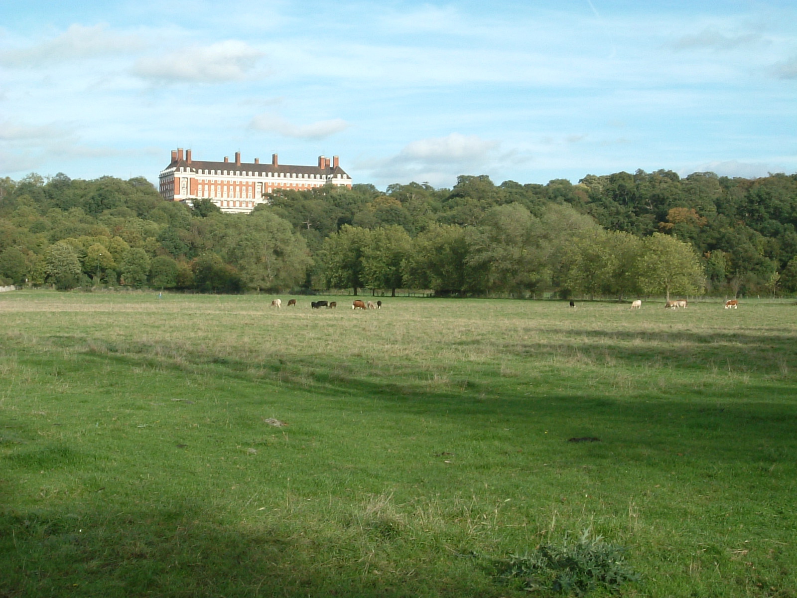 The view towards the Star and Garter Home from the Thames Path at Petersham Meadow