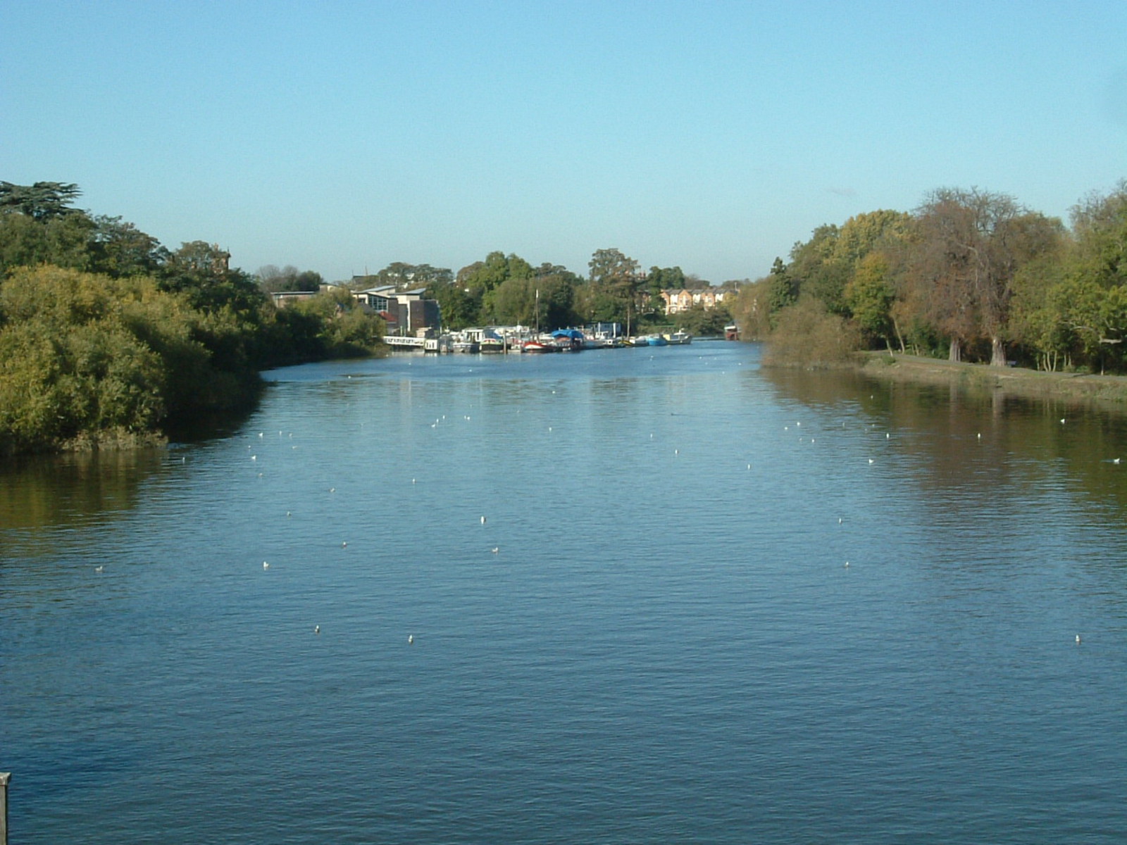The view east from Richmond Lock