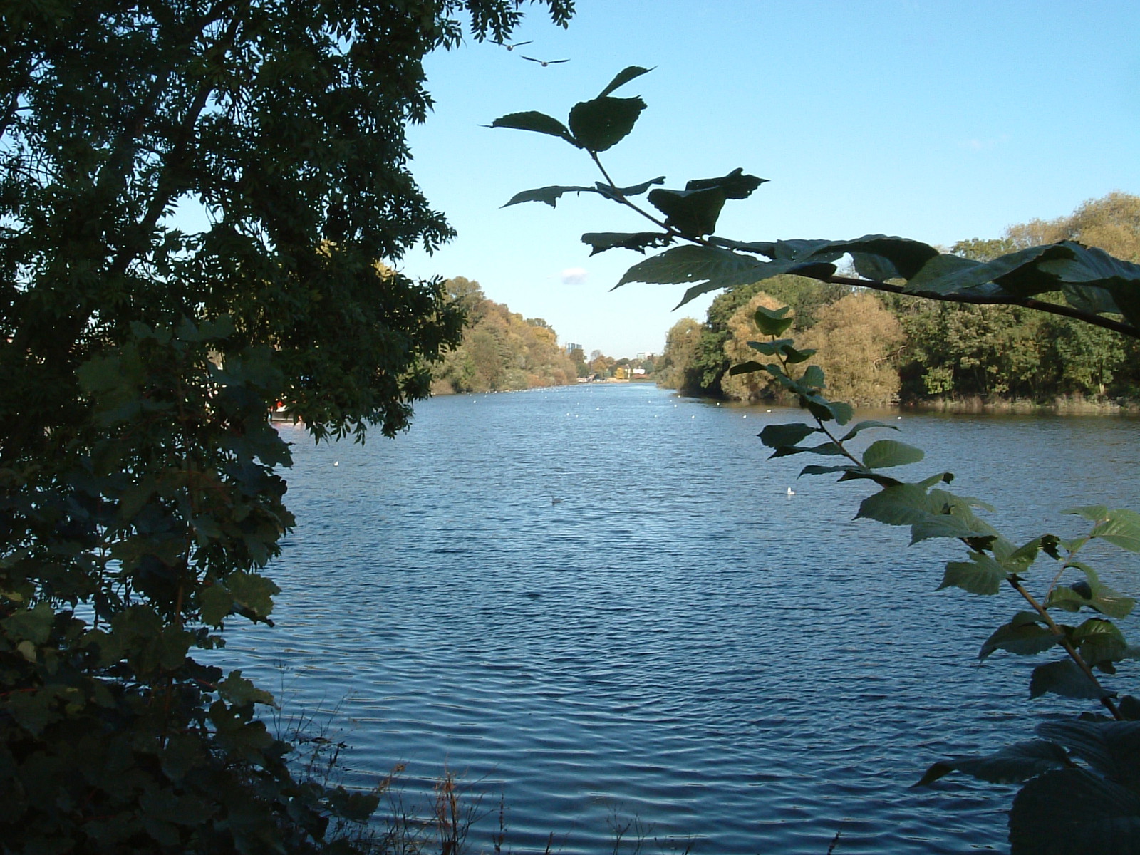 The Thames from the north bank outside the Brunel University campus
