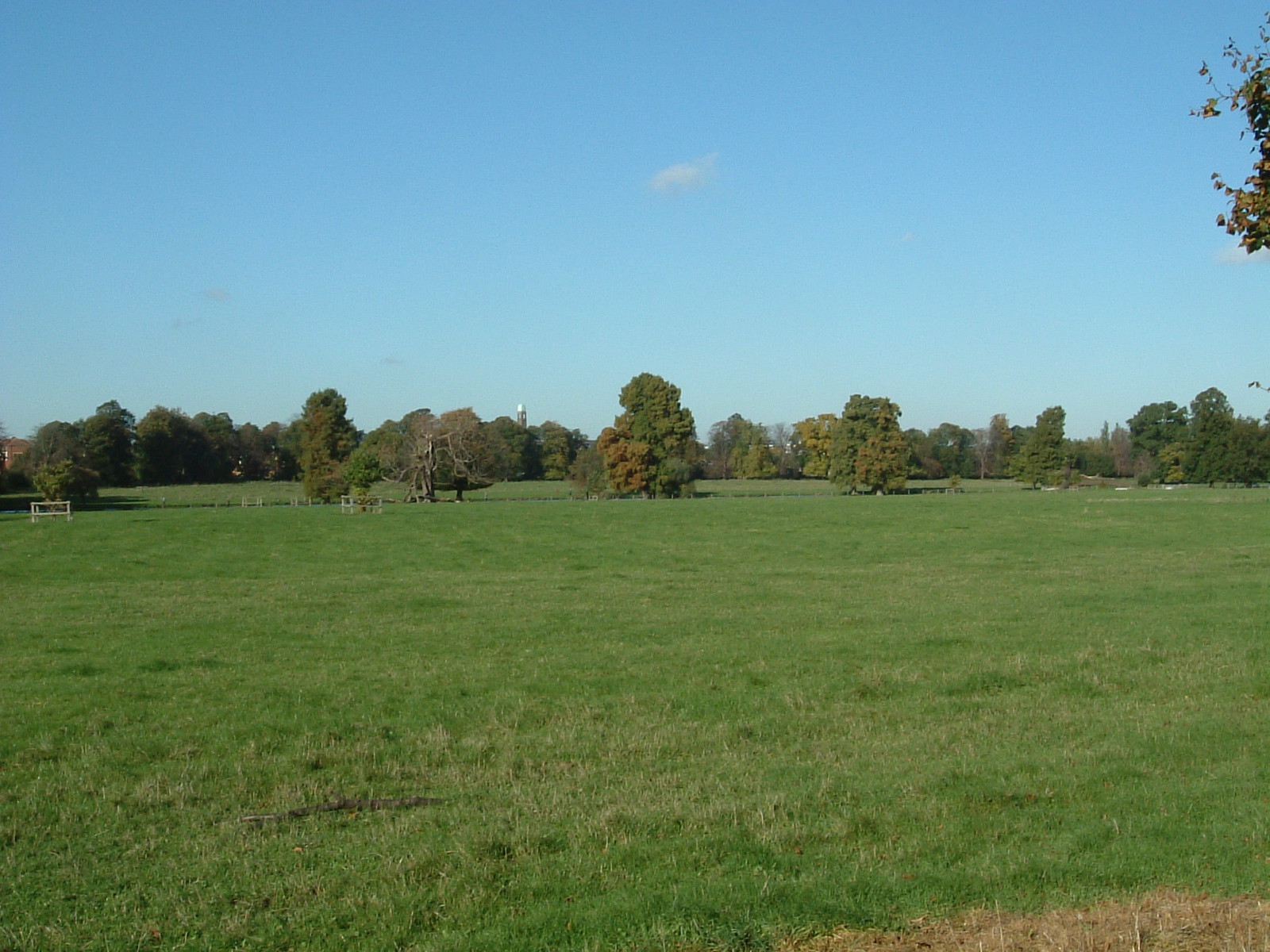 Syon Park