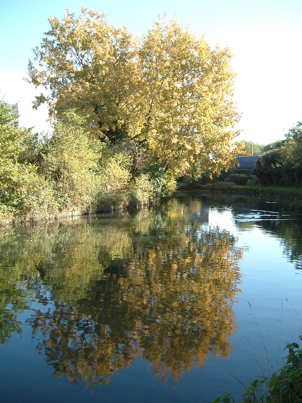 The Grand Union Canal