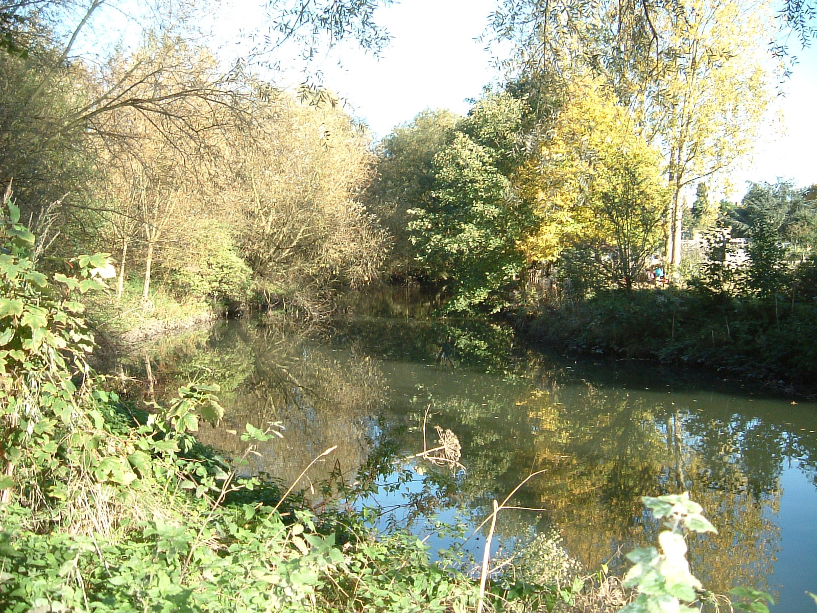 The River Brent on the Fitzherbert Walk