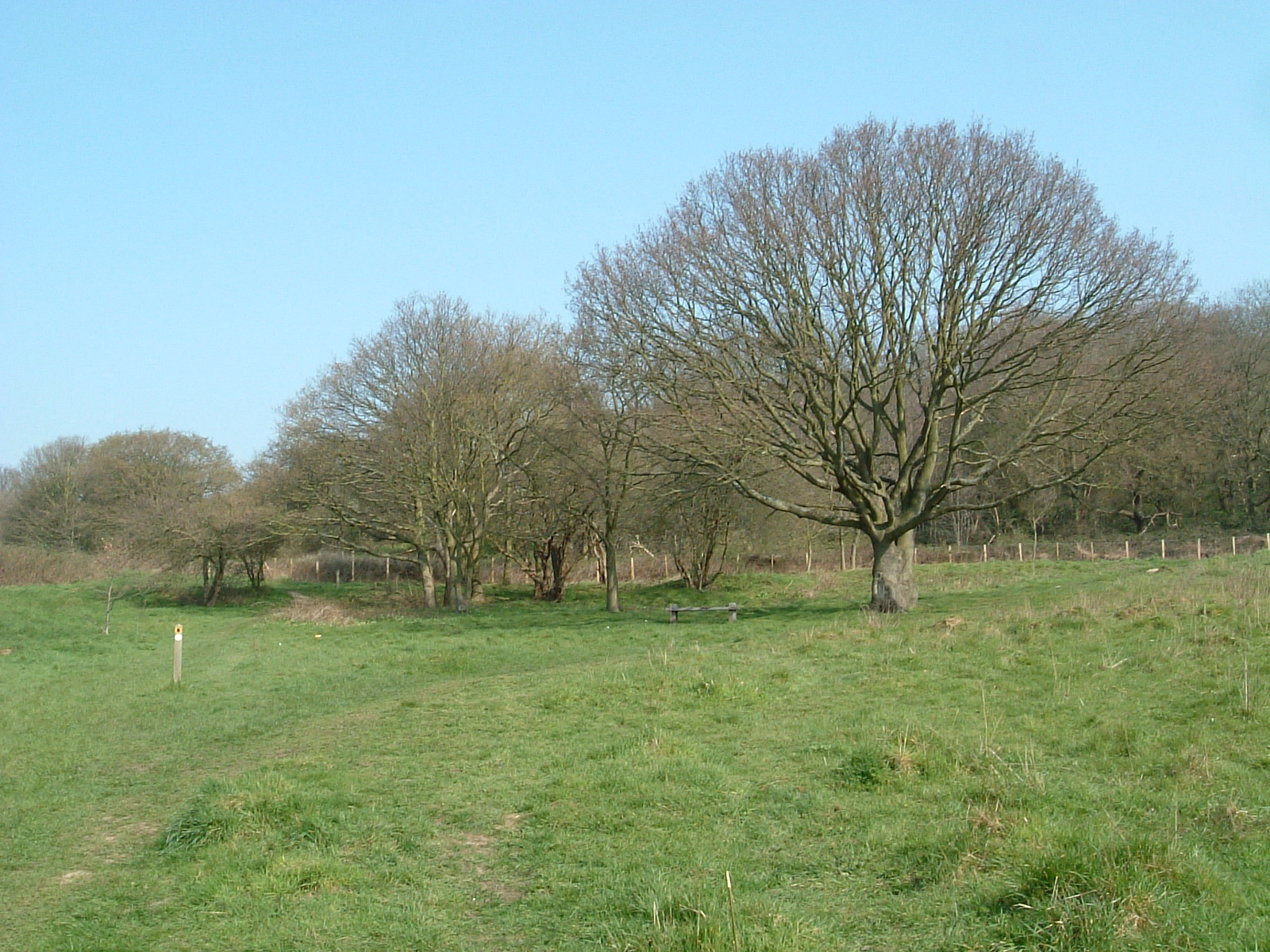 Ascending Horsenden Hill