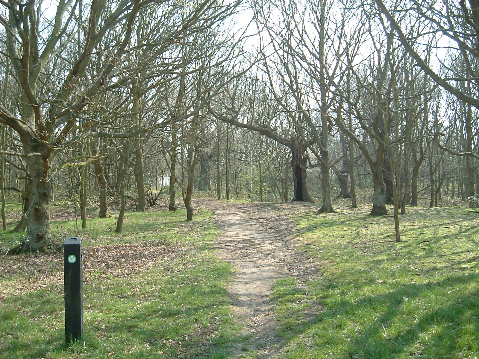 Ascending Barn Hill