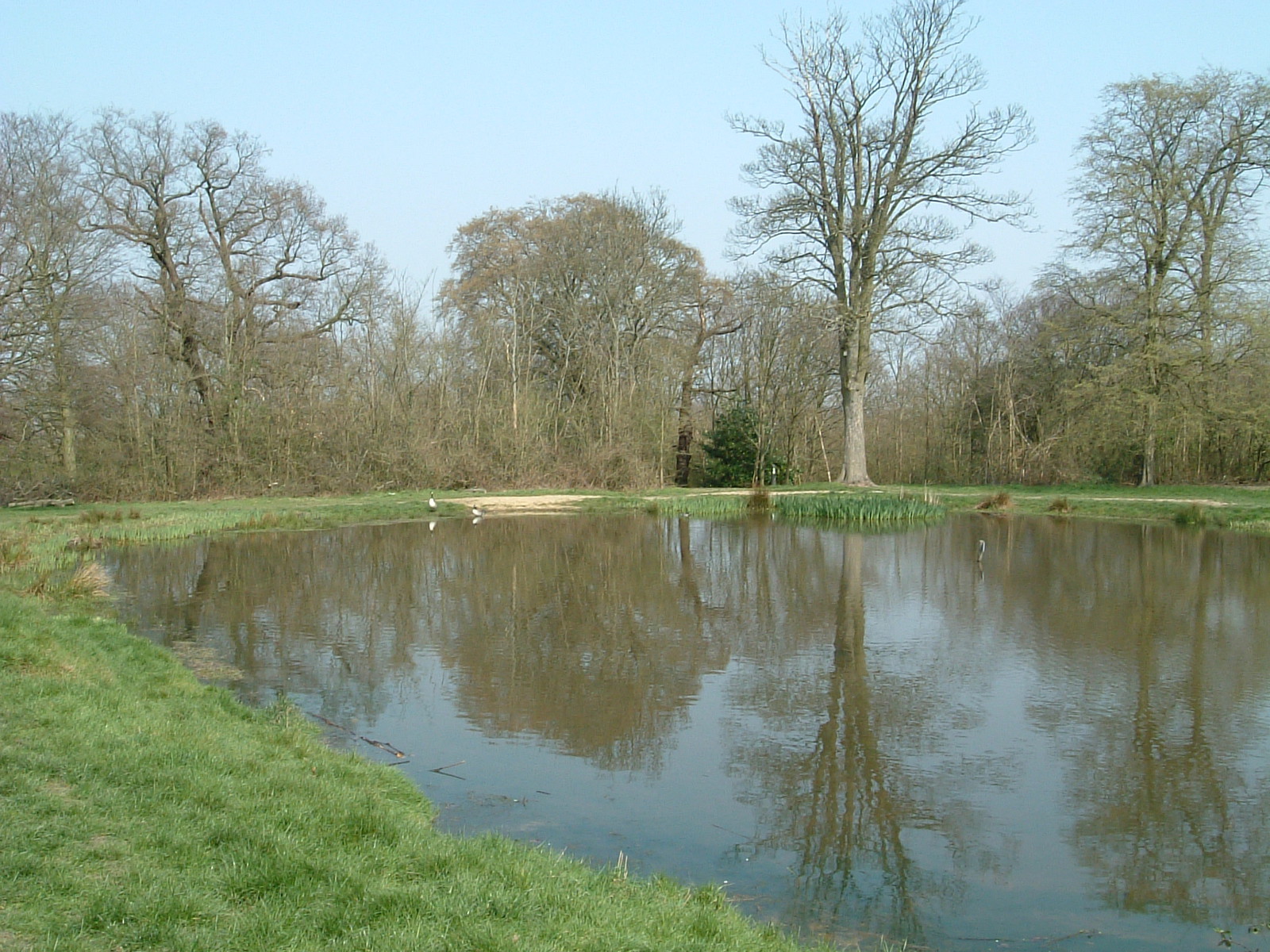 The pond on top of Barn Hill