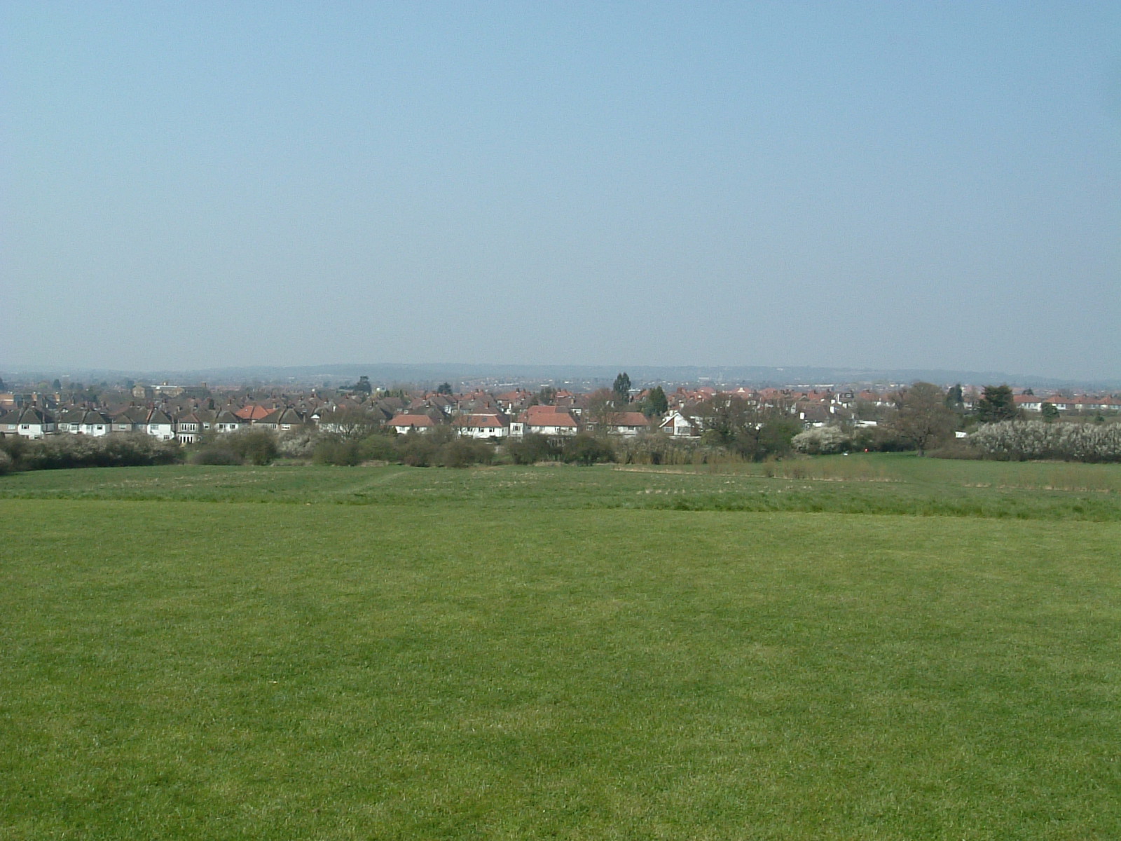 The view from Gotfords Hill