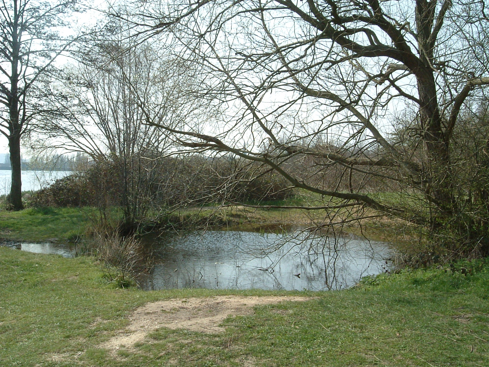 A World War II bomb crater, Brent Reservoir