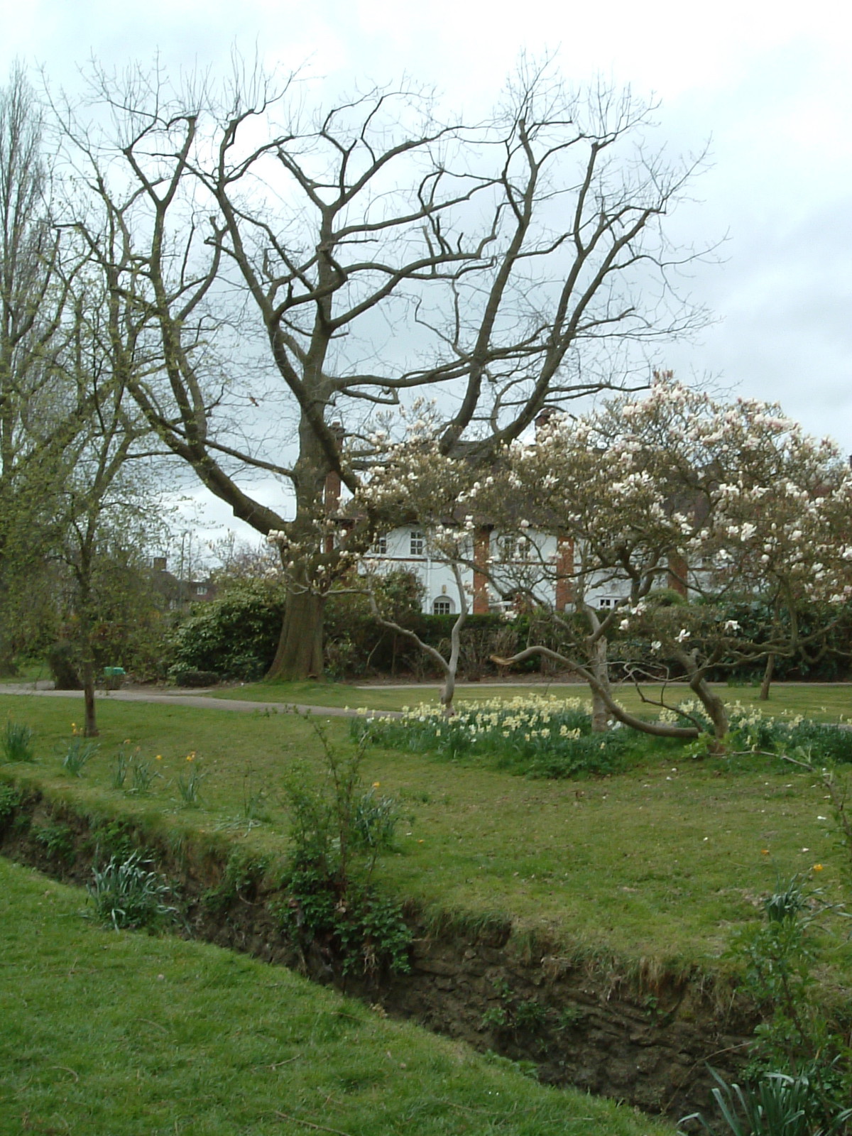 Northway Gardens