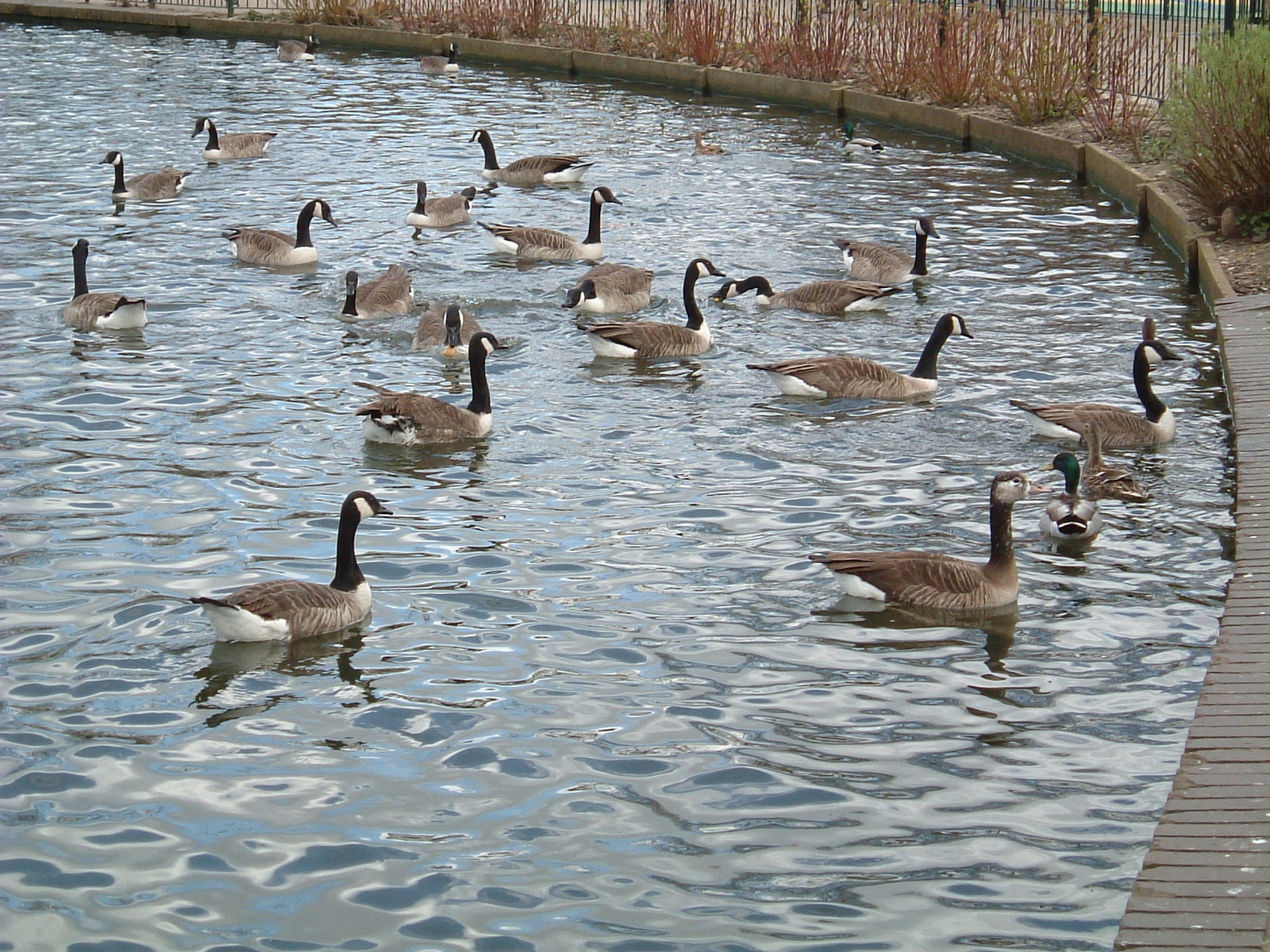 Finsbury Park