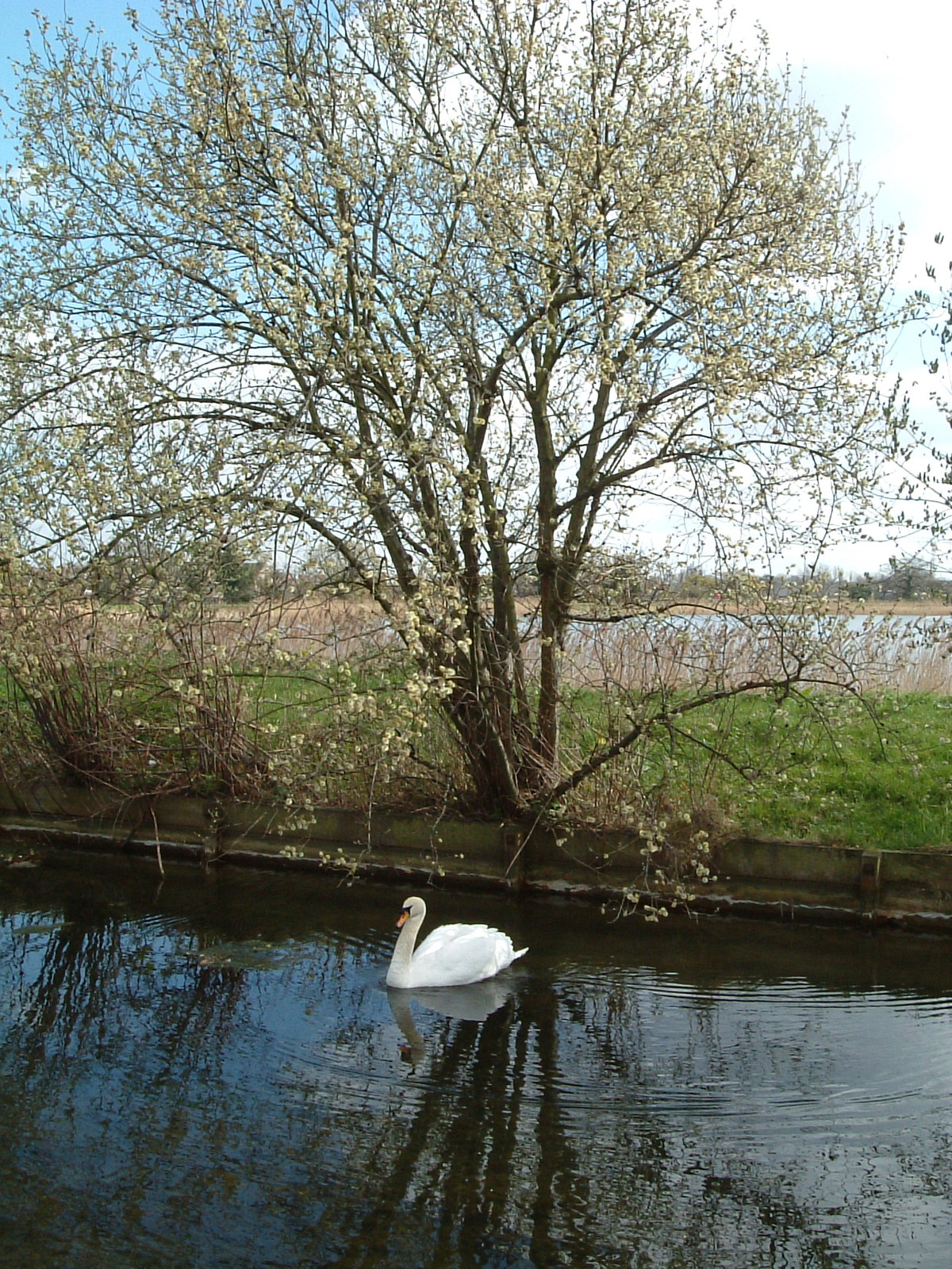 The New River Path alongside the West Reservoir