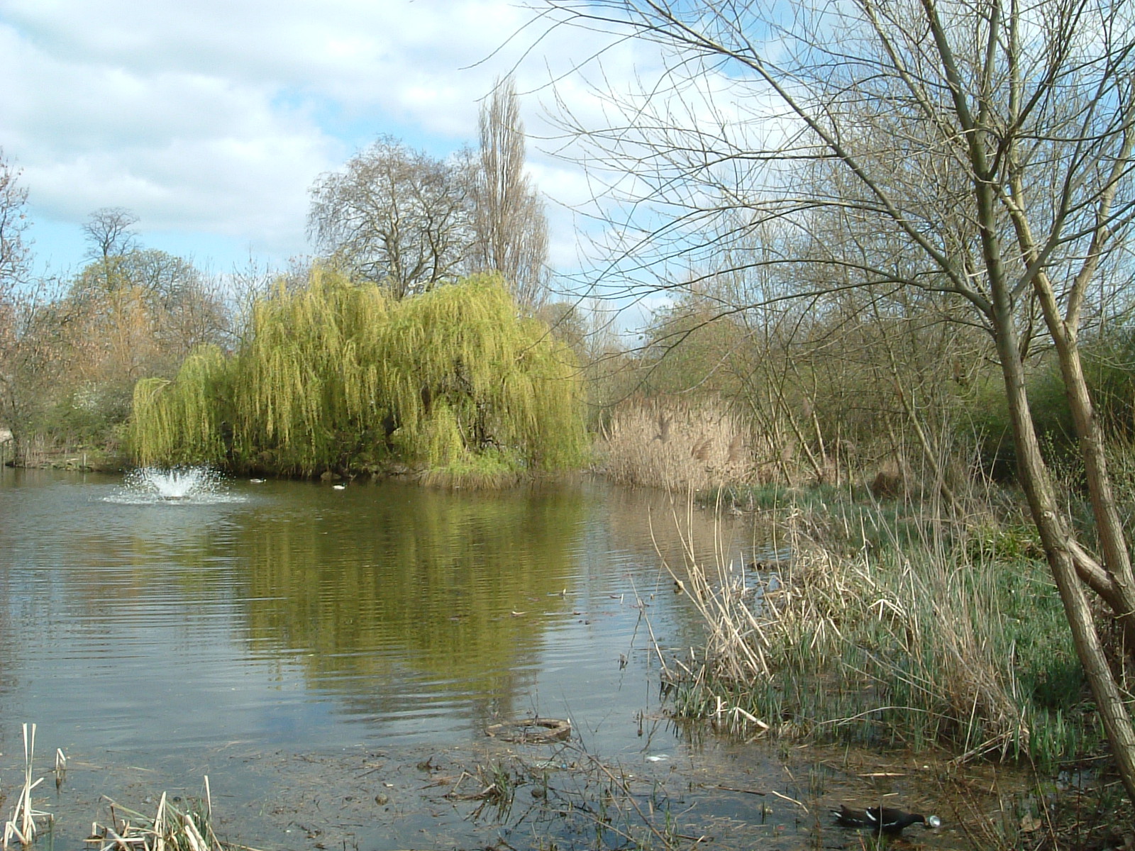 Runtzmere, Clissold Park