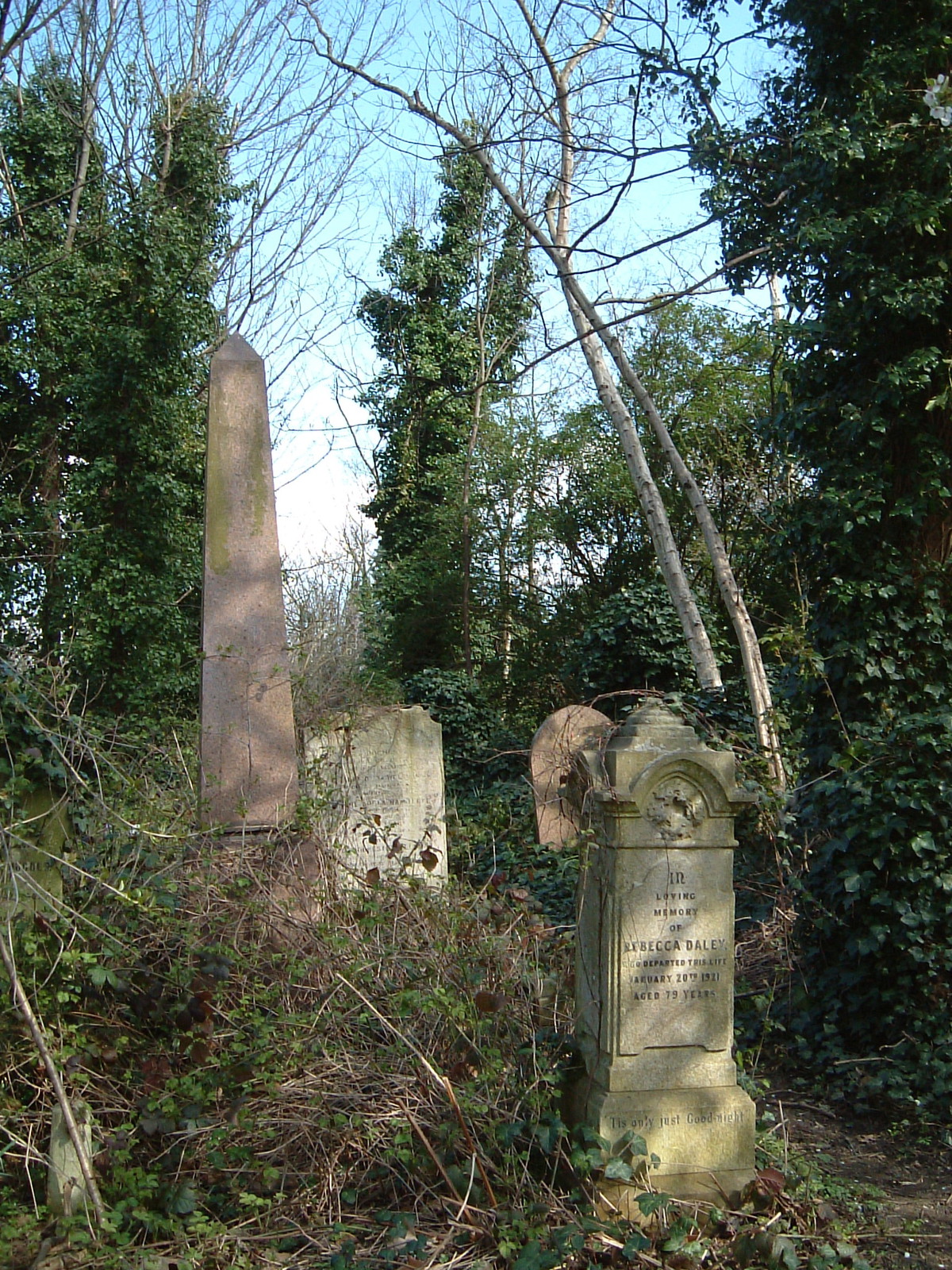 Abney Park Cemetery
