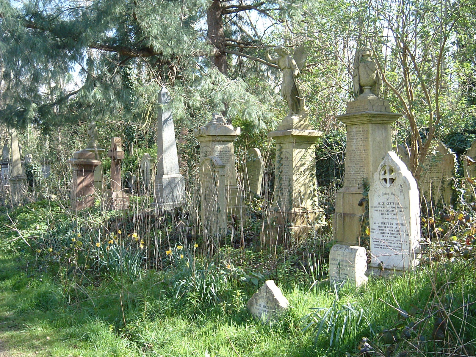 Abney Park Cemetery