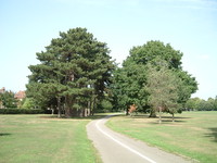 Cator Park