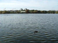 Wimbledon Park Lake