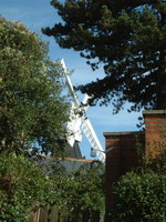 The windmill on Wimbledon Common