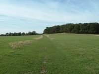 Richmond Park near Robin Hood Gate