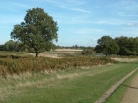 Pen Ponds, Richmond Park