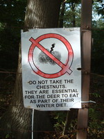 A sign in Sidmouth Wood, Richmond Park that says 'Do not take the chestnuts, they are essentila for the deer to eat as part of their winter diet'