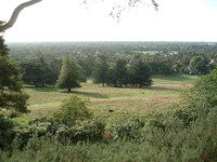 The view west from King Henry VIII Mound