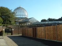 The main conservatory, Syon House