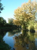 The Grand Union Canal