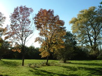 Brent Lodge Park