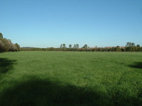 Bitterns Field