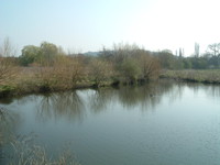 Paradise Fields wetlands