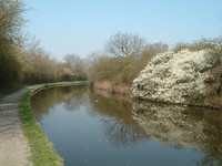 The Grand Union Canal