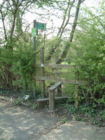 The only stile on the Capital Ring, onto the A404