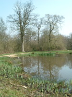 The pond on top of Barn Hill