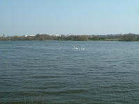 Brent Reservoir