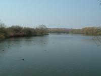 The northern arm of Brent Reservoir
